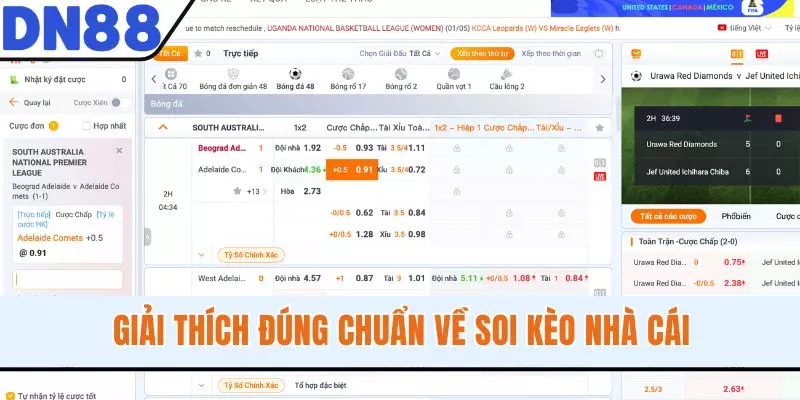 Giải thích đúng chuẩn về soi kèo nhà cái