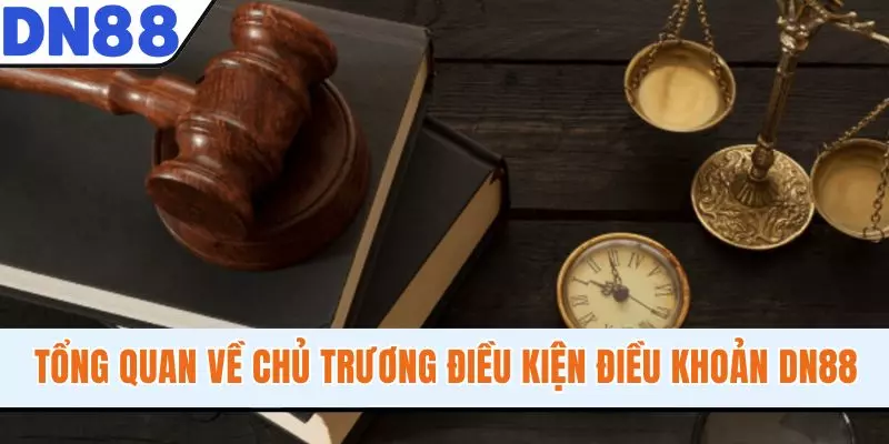 Tổng quan về chủ trương điều kiện điều khoản DN88